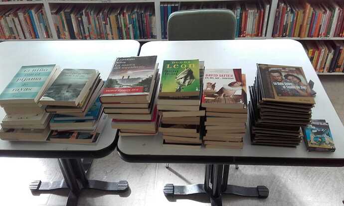 Libros en la biblioteca