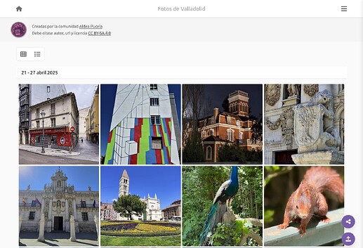 Algunas de las últimas fotos de la galería