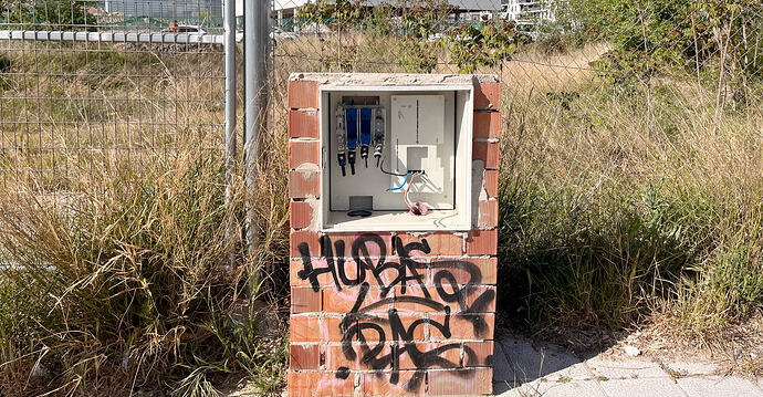 Vegetación descontrolada, actos vandálicos y zonas sin reparar