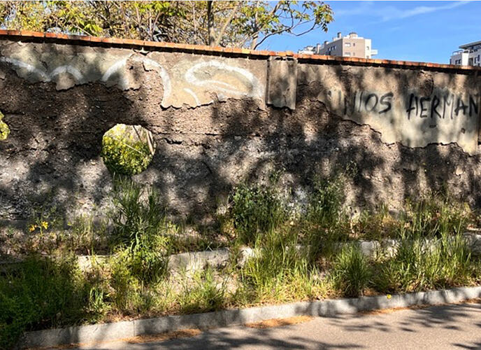 Captura de pantalla 2026-04-17 a las 11.29.56