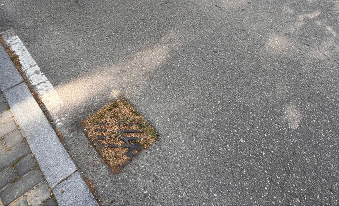 Captura de pantalla 2026-04-17 a las 11.34.23