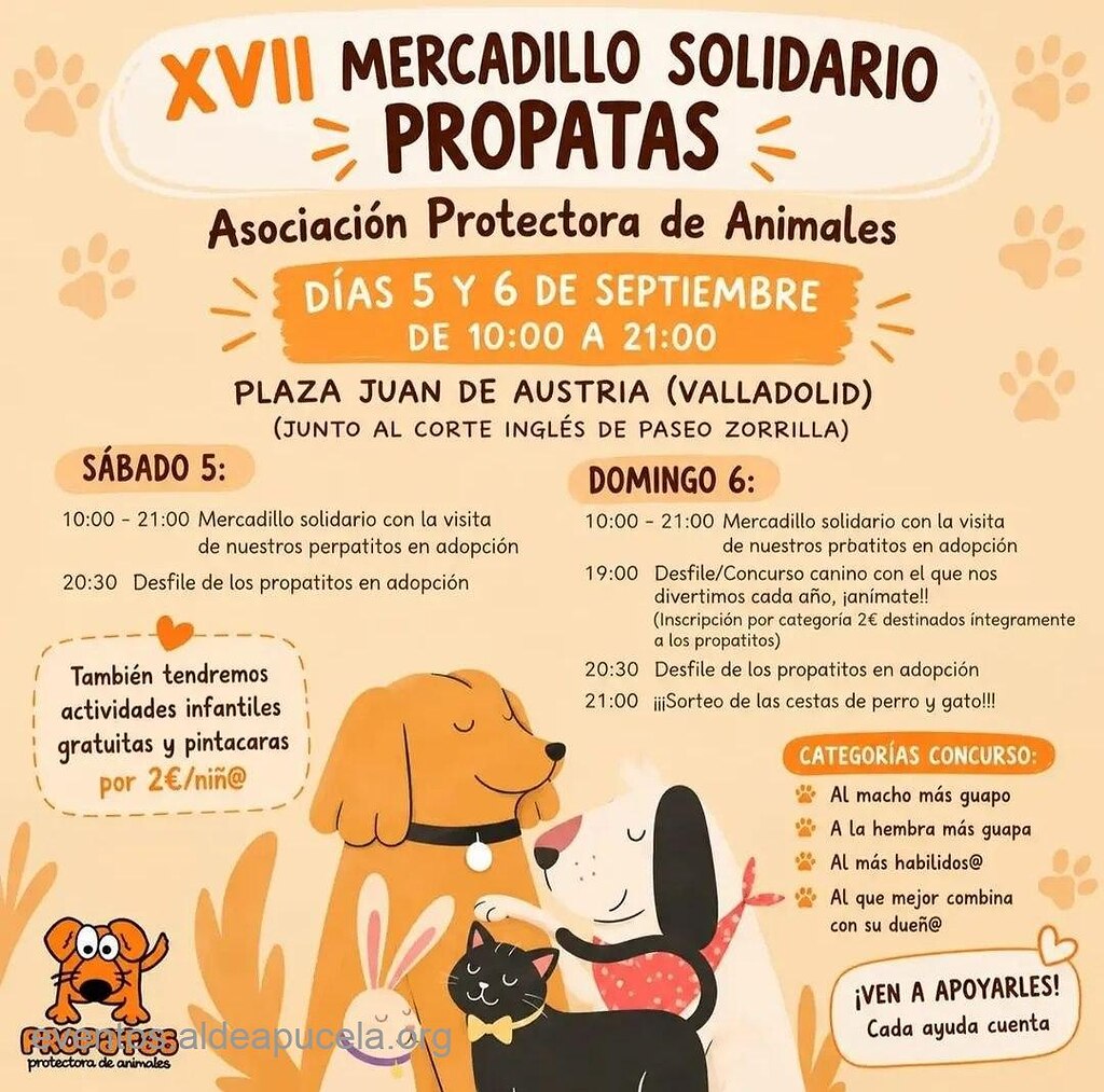 XVII Mercadillo Solidario Propatas (Evento Solidario)